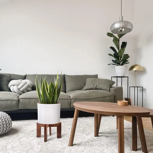 Mid Century Modern Wooden Plant Stand Set