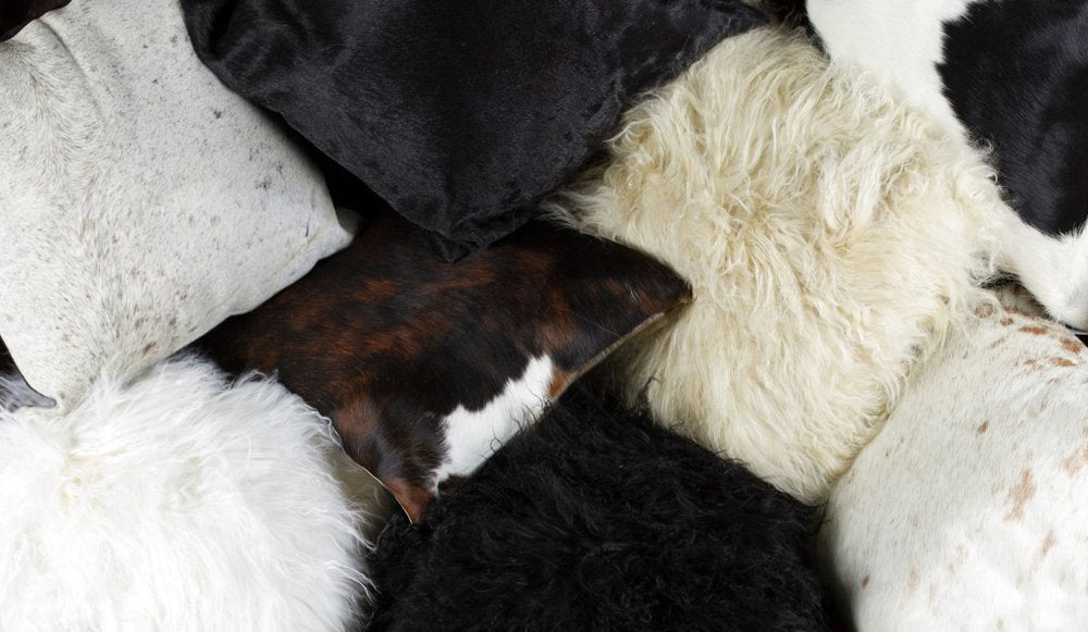 Black Sheepskin Throw Pillows – Luxurious Texture, Modern Edge