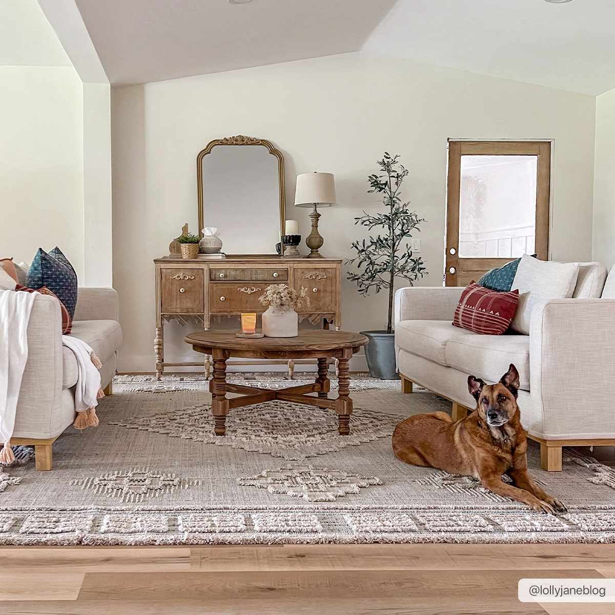 Southwestern Area Rug with Intricate Medallion Design
