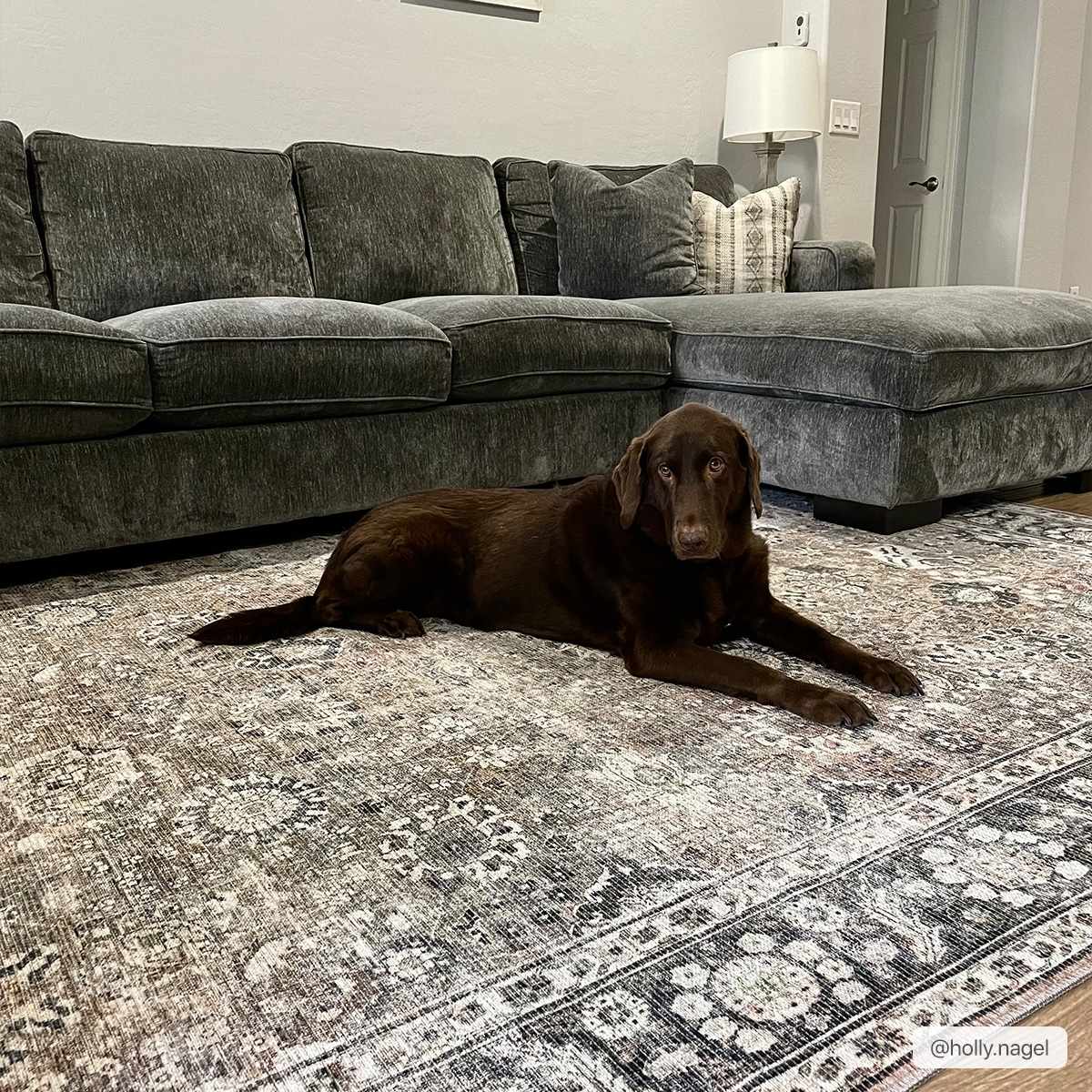 The Ganyangan Collection: Low-Pile Rug with Vintage Style