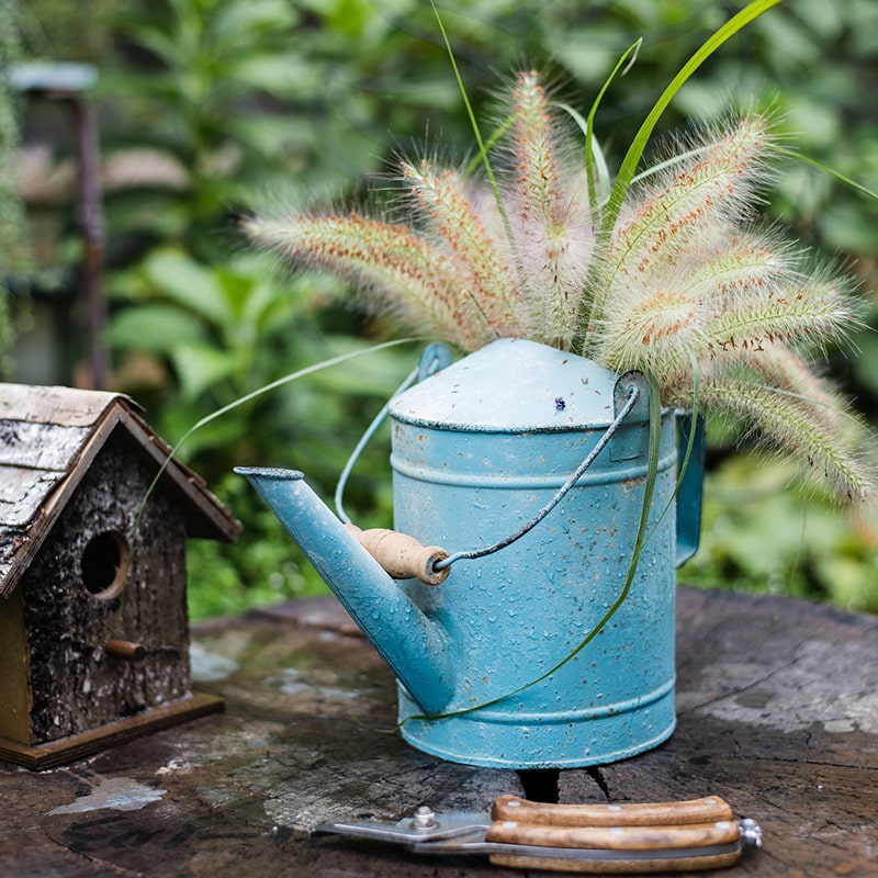 Vintage Turquoise Metal Watering Can with Wooden Handle – Decorative & Functional