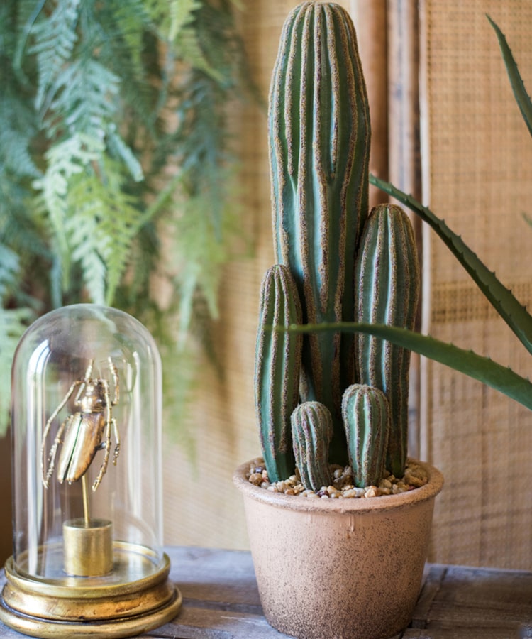 Lifelike Artificial Potted Cactus