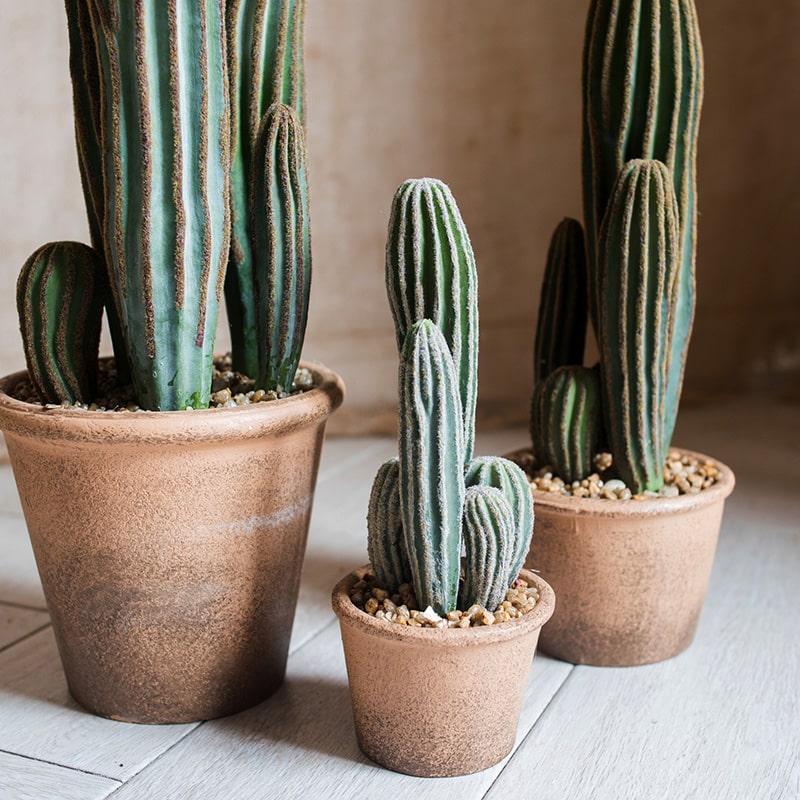 Lifelike Artificial Potted Cactus