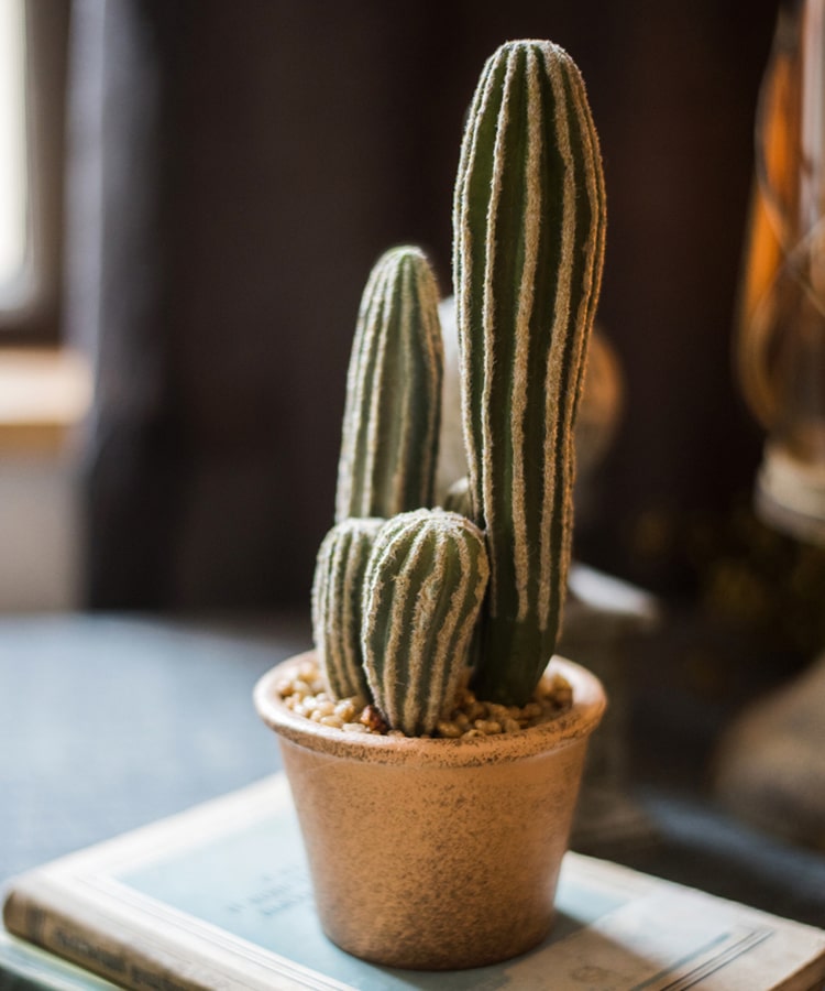 Lifelike Artificial Potted Cactus