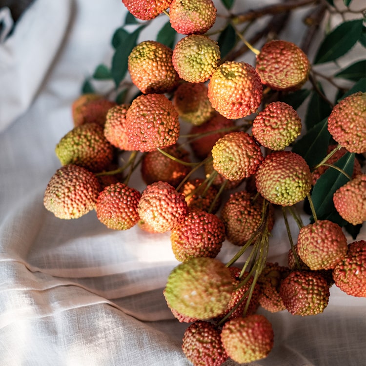 Handmade Lychee Stem Silk Plant