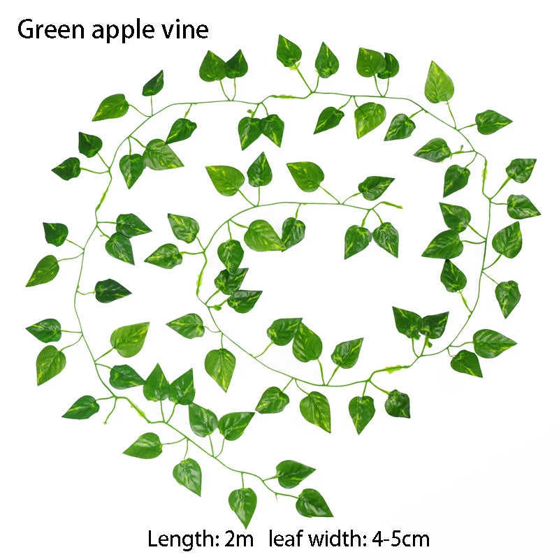 Green apple vine with leaf dimensions on a white background