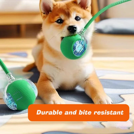 Smart Interactive Dog/Cat Ball - 6 Hour Playtime