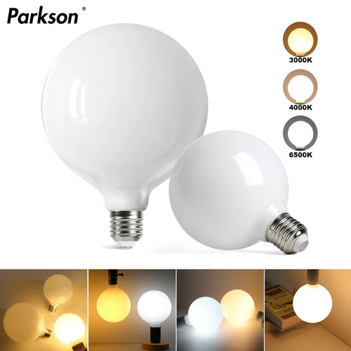 Modern Frosted LED Globe Bulbs – Energy-Efficient Soft Glow