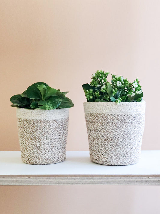 Bohemian Plant Pot Cover Set of 2 Sizes - Natural & White Woven Jute