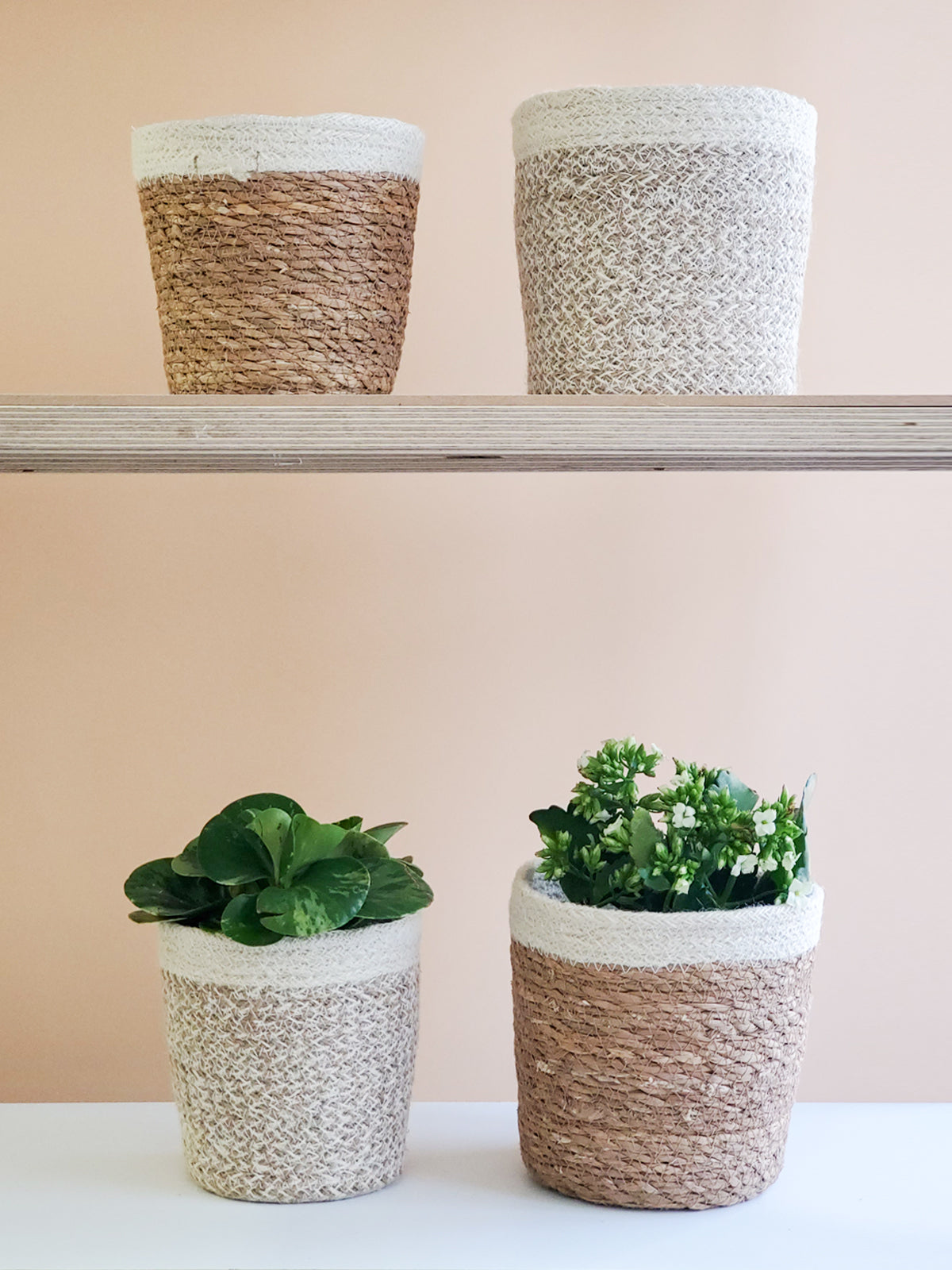 Bohemian Plant Pot Cover Set of 2 Sizes - Natural & White Woven Jute