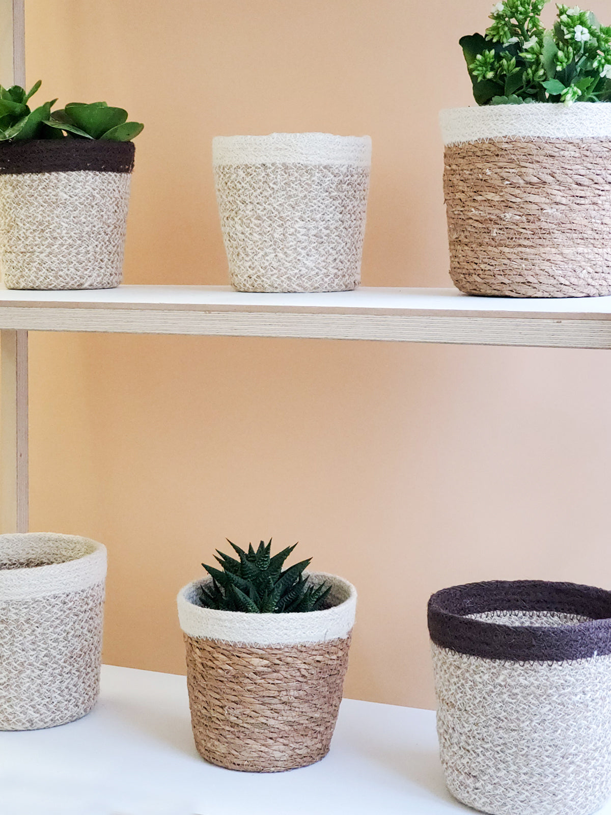 Bohemian Woven Plant Basket for Indoor Plants - Natural & White