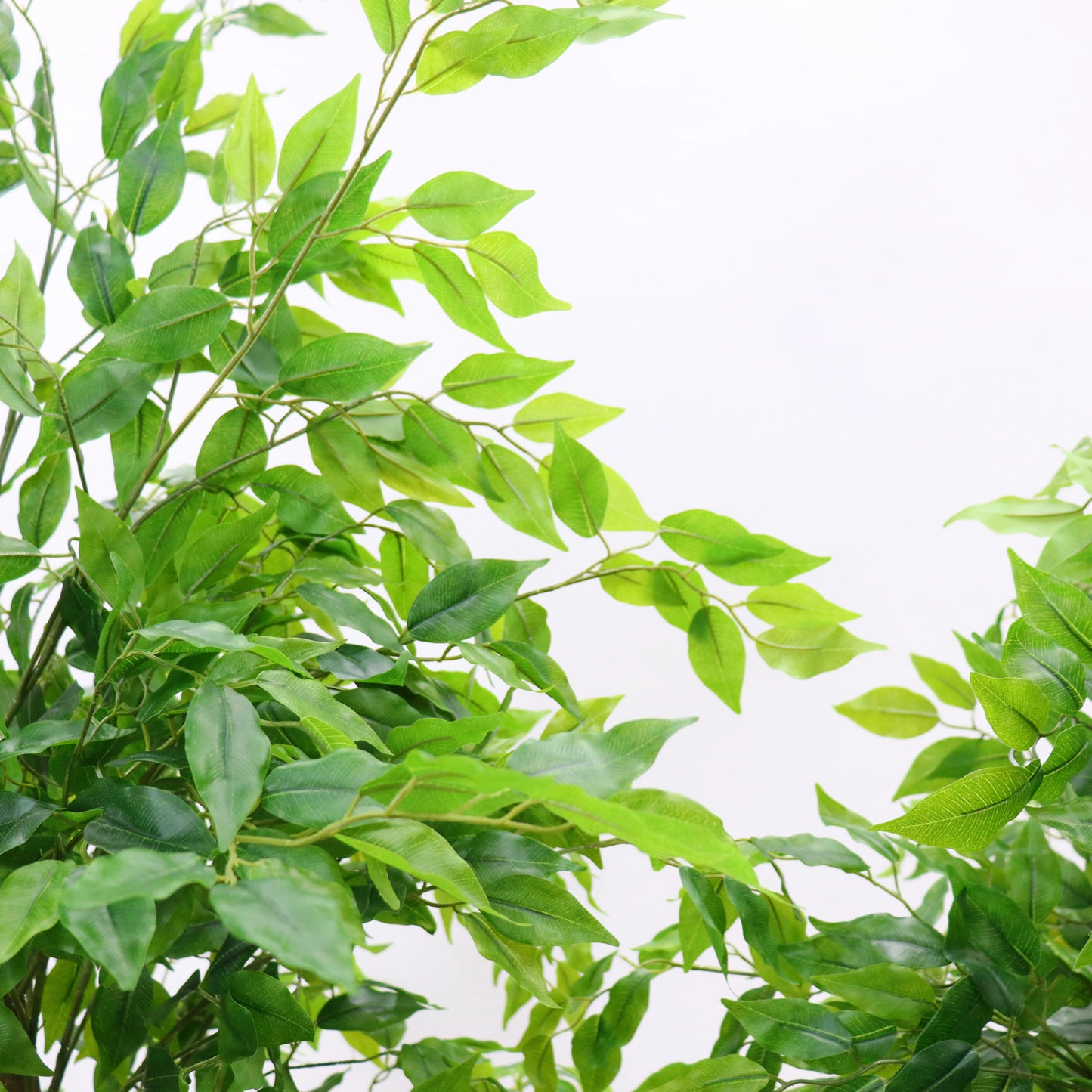 5.2ft-5.9ft Artificial Artificial Ficus Tree for Home and Exhibitions
