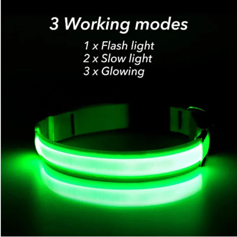 Green LED dog collar with three working modes on a black background