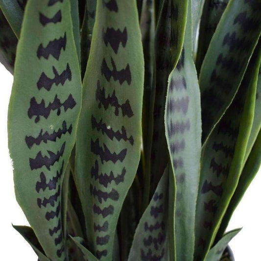 Artificial Snake Plant Sansevieria UV Resistant 60cm/24in
