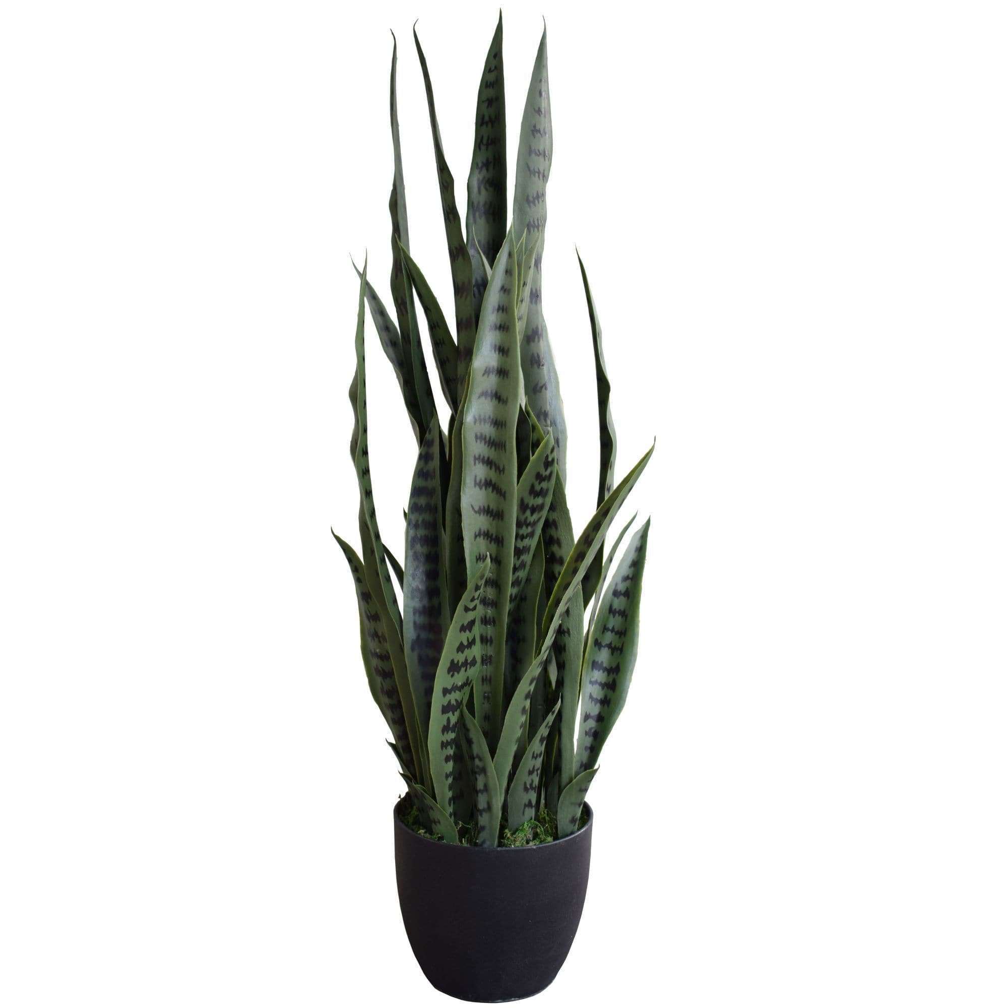 fake snake plant transparent Artificial Snake Plant Sansevieria UV Resistant 60cm/24in – Decor Moxie