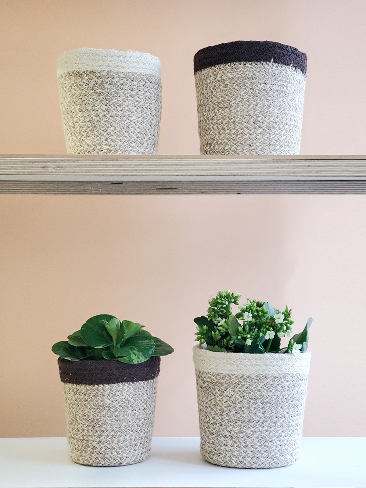 Bohemian Woven Plant Basket for Indoor Plants - Natural & White