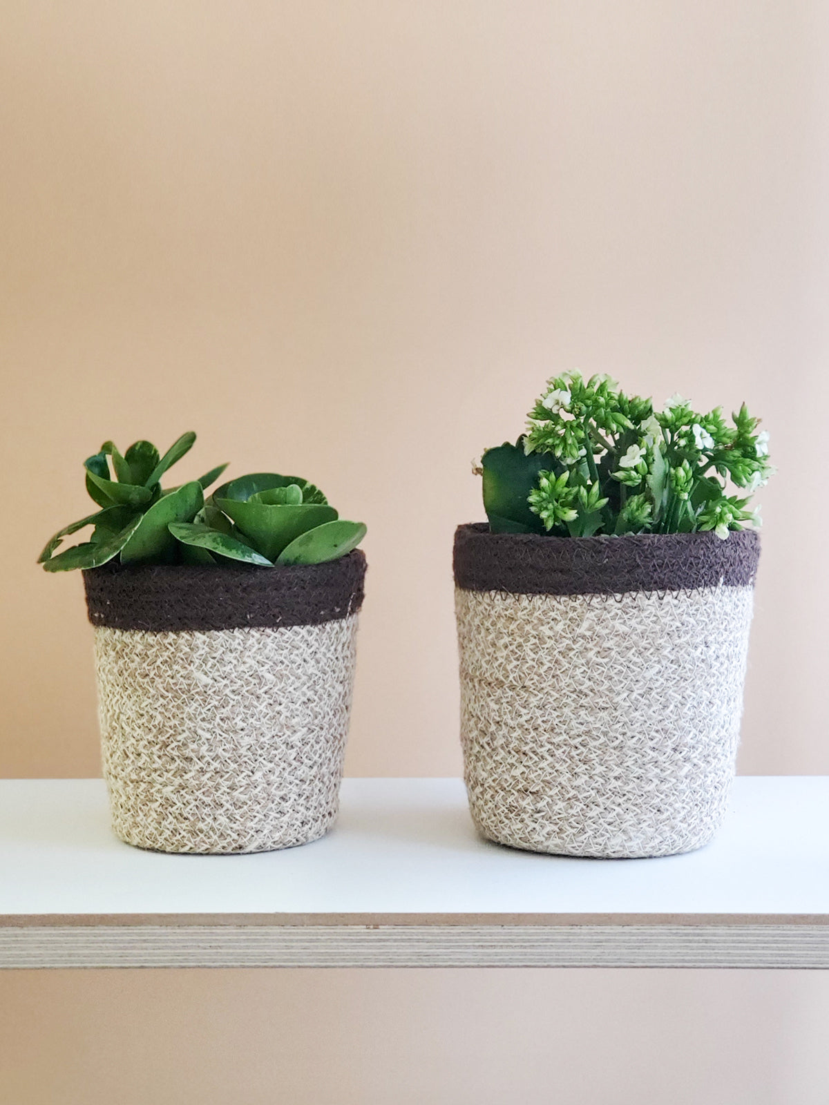 Bohemian Woven Plant Basket for Indoor Plants - Natural & White