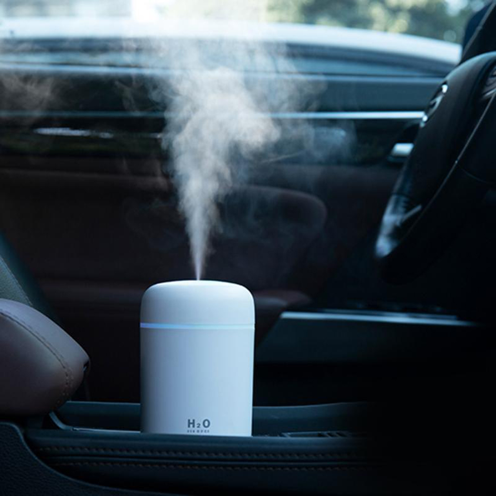 Portable Diffuser/Humidifier