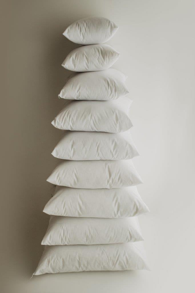 Down Alternative Hypoallergenic Pillow Insert Cotton Cover | 10x10 |