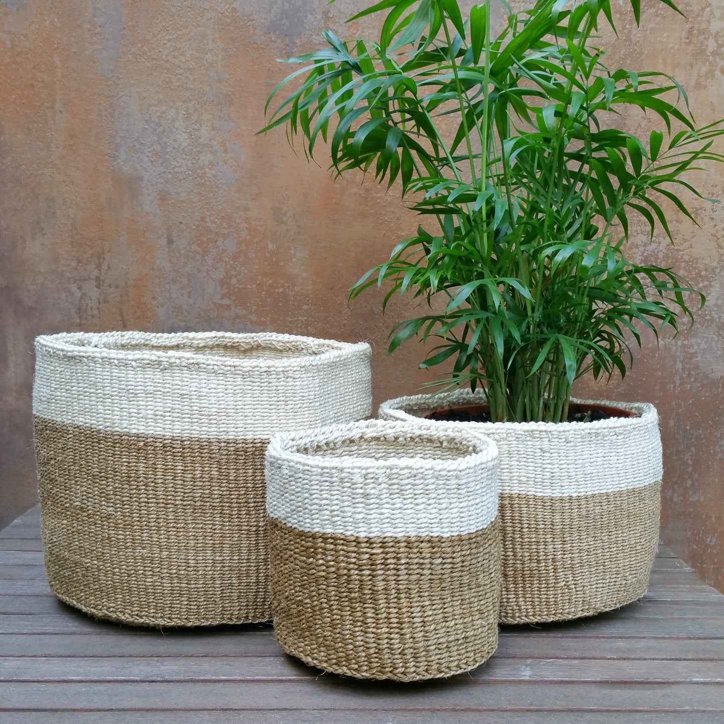 Handwoven Sisal Nesting Baskets | Set of 3 for Planters & Storage