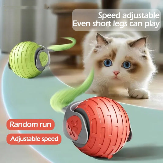 Tireless Playmate: Auto-Rolling Cat Ball with Prey-Like Movements