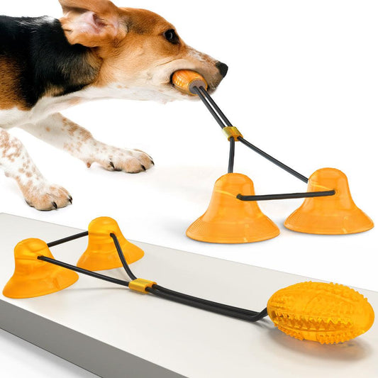 Chew, Tug & Play: The All-in-One Dog Toy