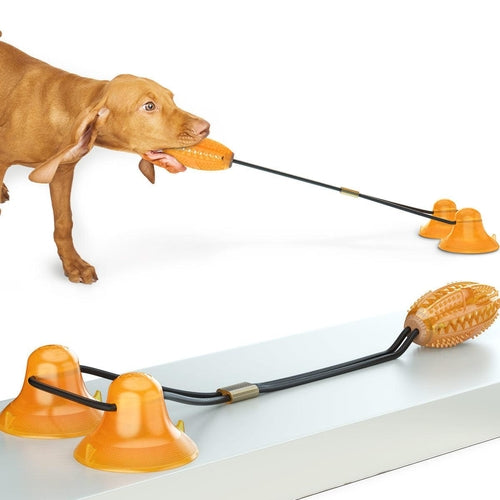 Chew, Tug & Play: The All-in-One Dog Toy