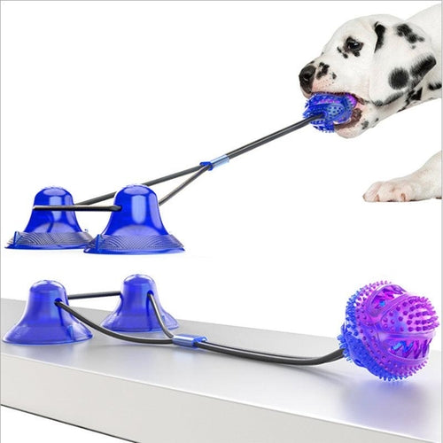 Chew, Tug & Play: The All-in-One Dog Toy