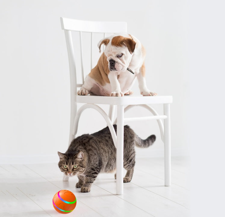 Self-Rolling Cat Toy Ball – Automatic Interactive Toy with Remote