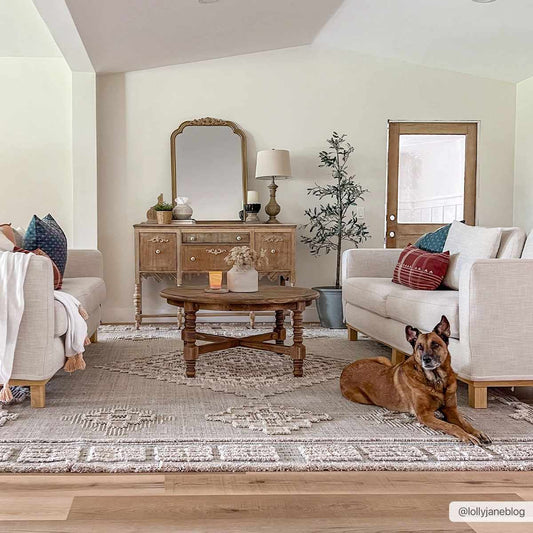 Southwestern Area Rug with Intricate Medallion Design