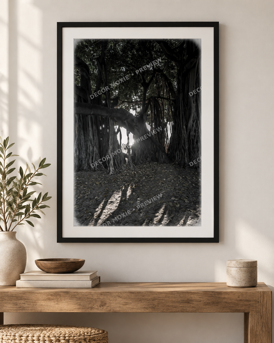 Black framed large banyan tree in Waikiki with cascading aerial roots, dense canopy, filtered sunlight, and long shadows