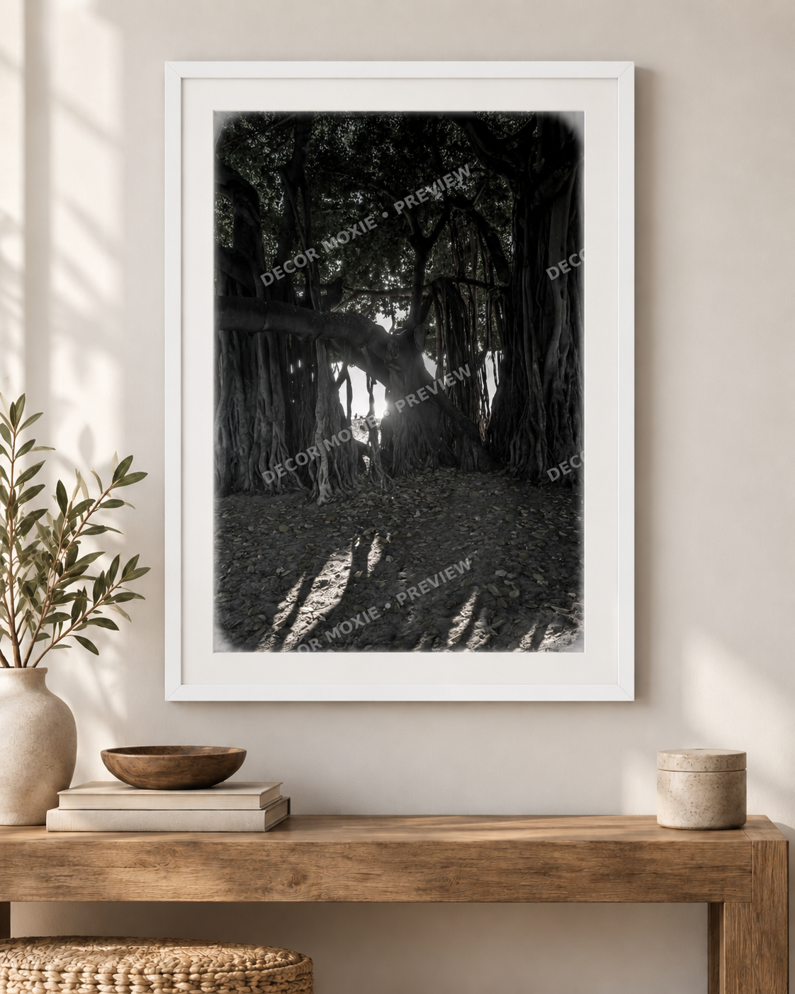 White framed large banyan tree in Waikiki with cascading aerial roots, dense canopy, filtered sunlight, and long shadows