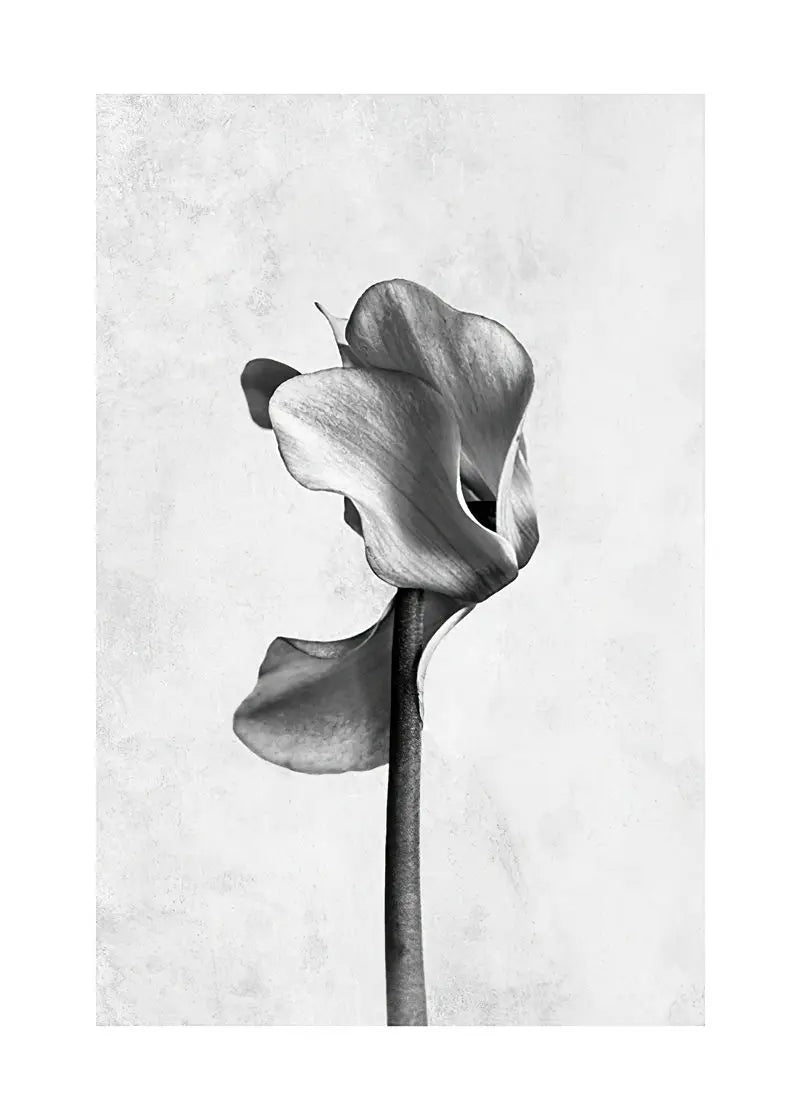 Modern Abstract Canvas Print for Home Decor