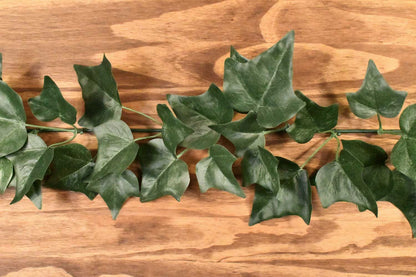 ElectroVine™ Ivy – A Charging Cable That Doubles as Living Décor