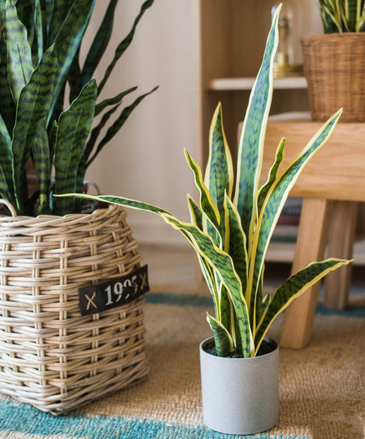 Realistic Artificial Yellow Edged Leaf Potted Snake Plant