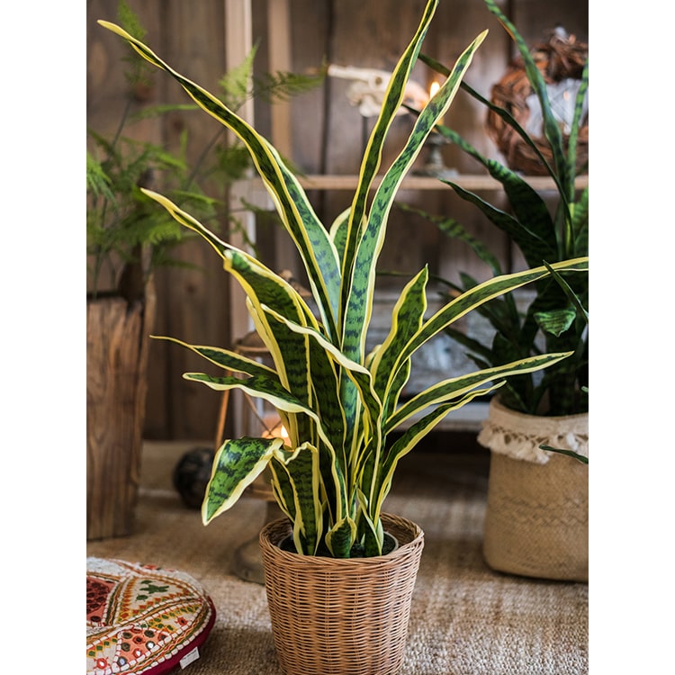 Realistic Artificial Yellow Edged Leaf Potted Snake Plant