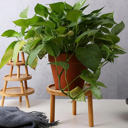 Sturdy Wooden Plant Stand for Indoor and Outdoor Use