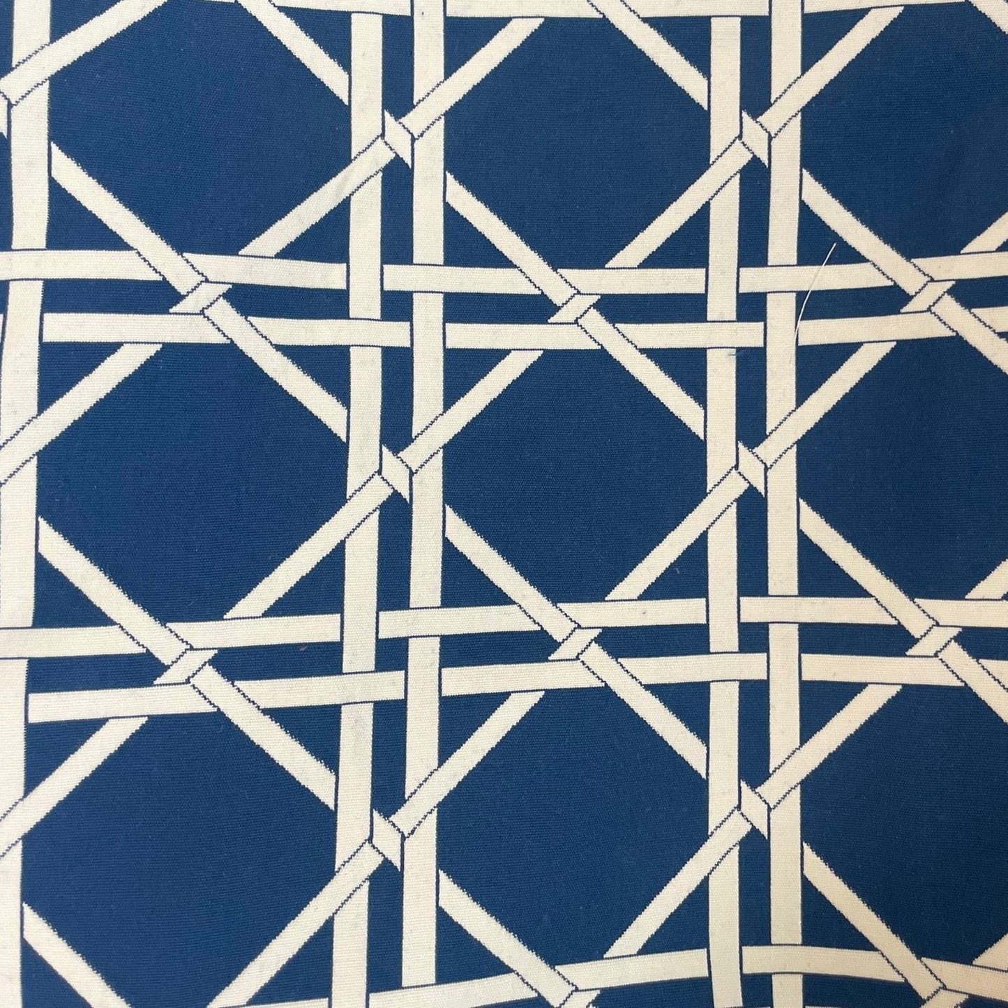 DaVinci Blue & White Cotton Throw Pillow – Cozy Luxury Accent