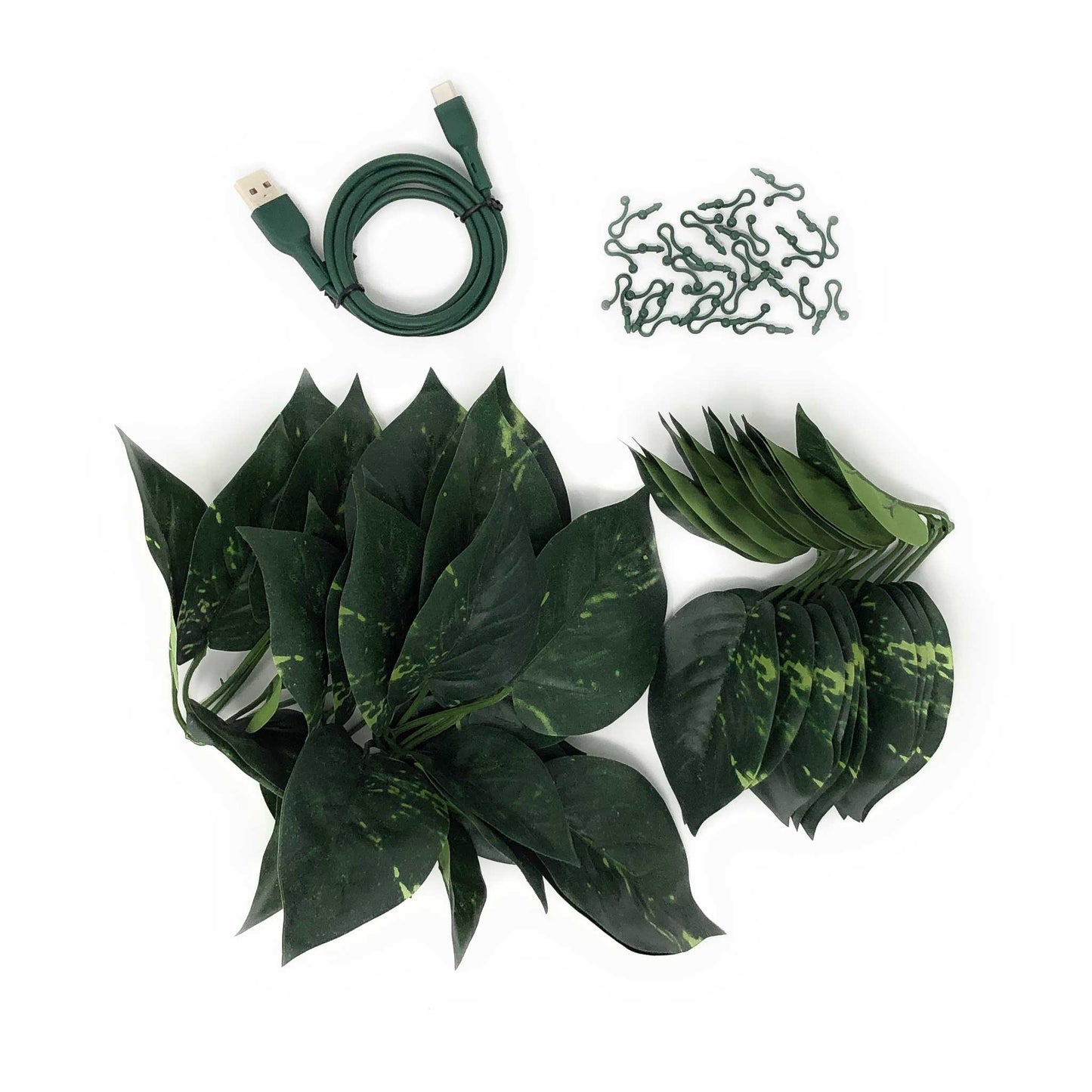 ElectroVine™ Pothos – A Charging Cable That Doubles as Living Décor
