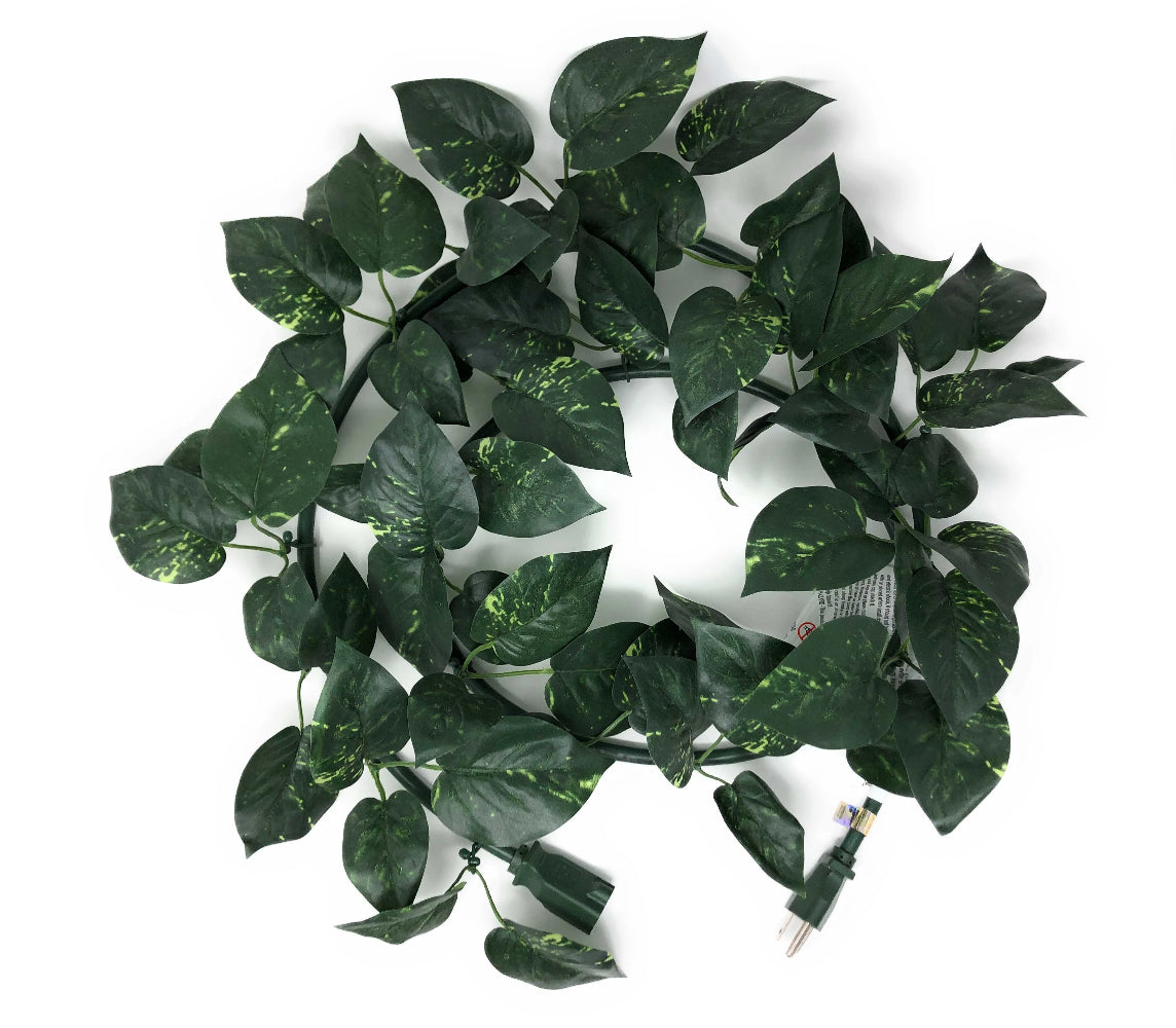 ElectroVine™ Pothos – A Charging Cable That Doubles as Living Décor