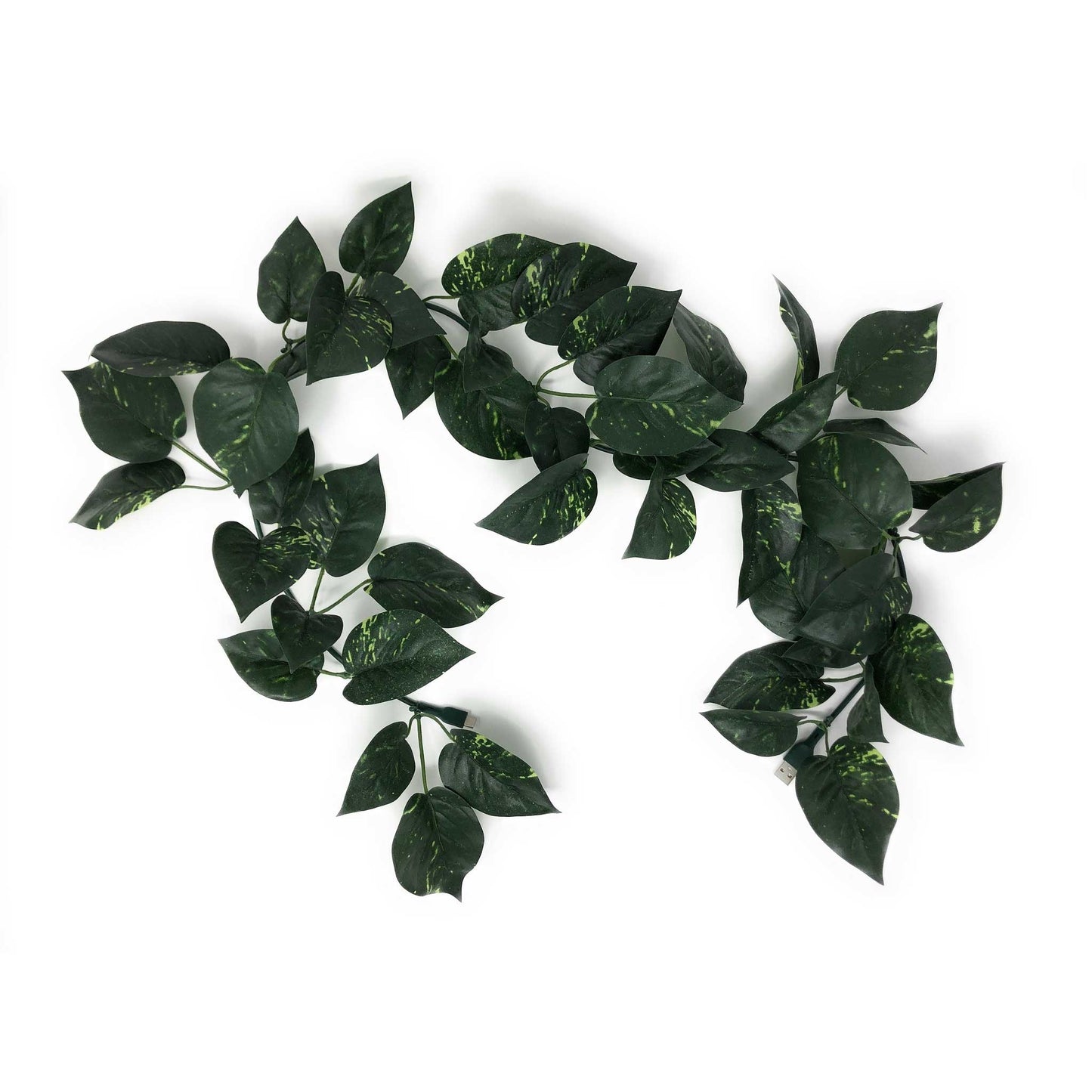 ElectroVine™ Pothos – A Charging Cable That Doubles as Living Décor