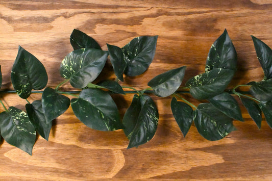 ElectroVine™ Pothos – A Charging Cable That Doubles as Living Décor