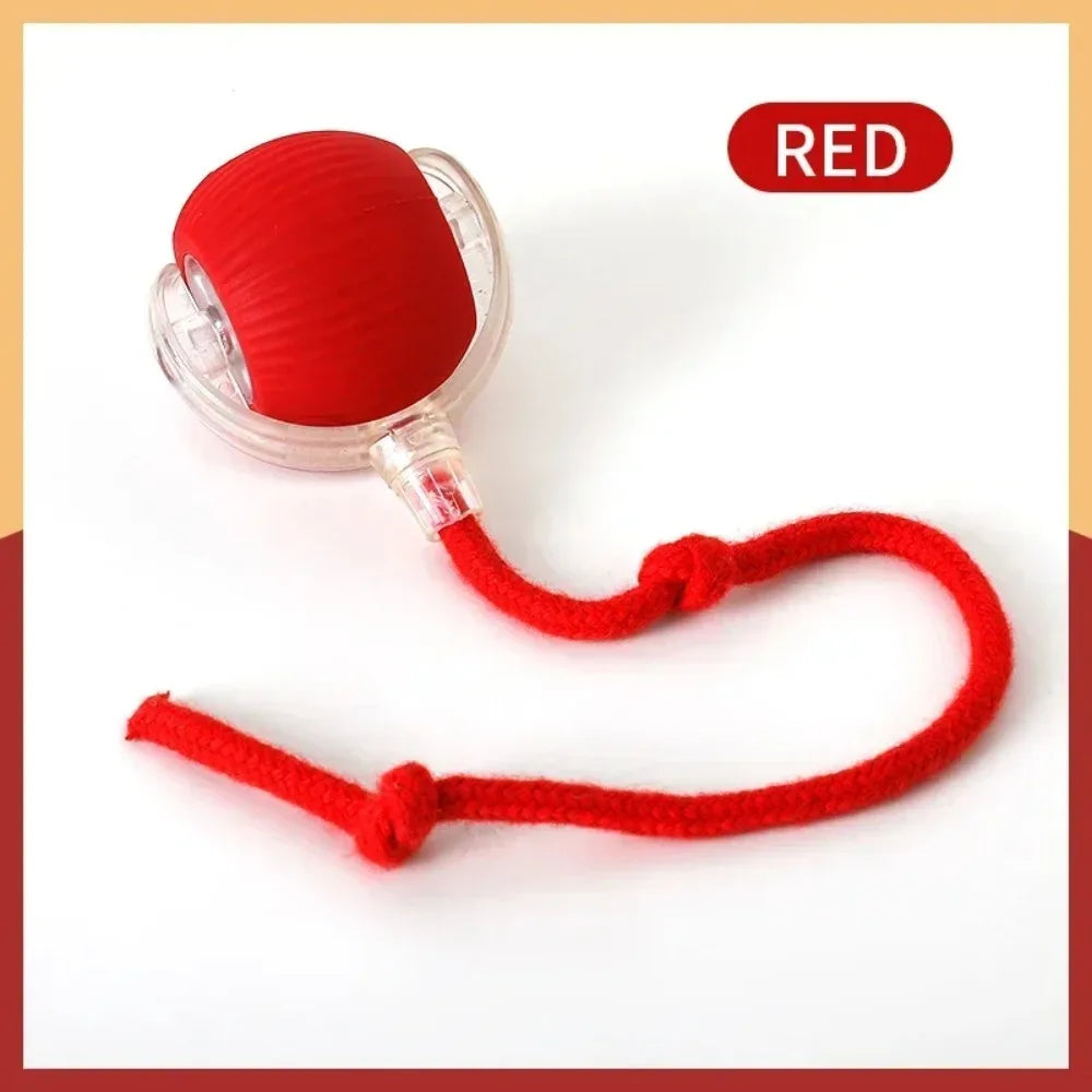 Red ball with a rope on a white background