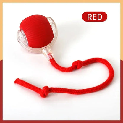 Red ball with a rope on a white background