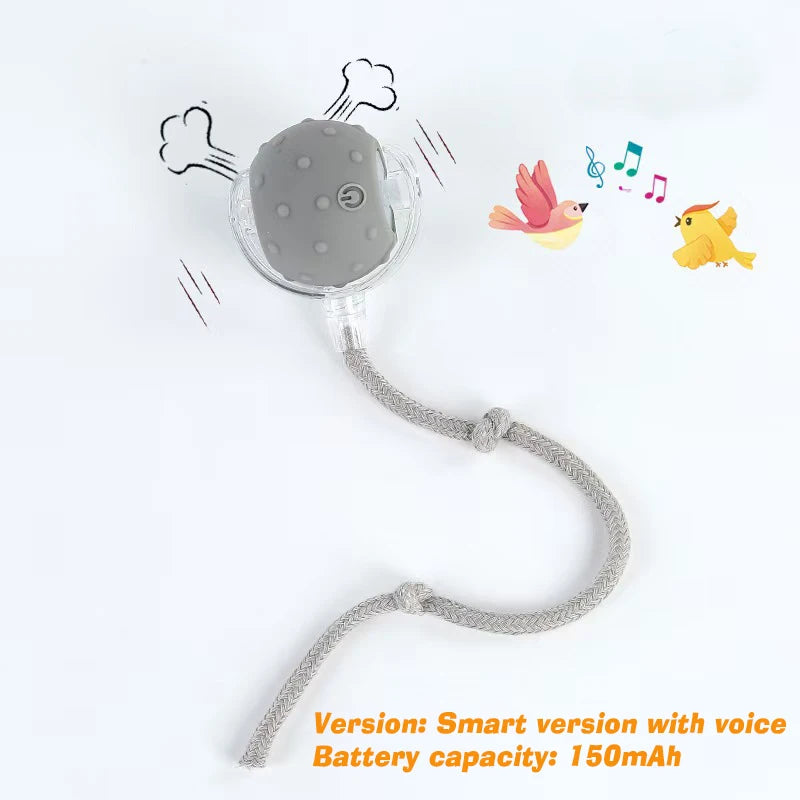 Smart Interactive Dog/Cat Ball - 6 Hour Playtime