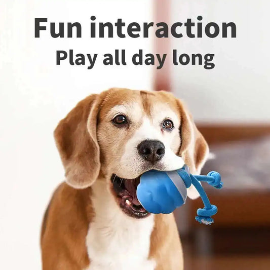 Smart Motion-Activated Dog Toy Ball with Rope - 3 Play Modes, USB Rechargeable