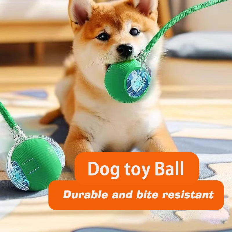 Smart & Interactive Rolling Dog/Cat Ball USB Rechargeable 3 Modes Non-Stop Play