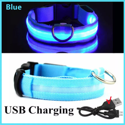 USB Rechargeable LED Dog Collar — Night Safety Glow