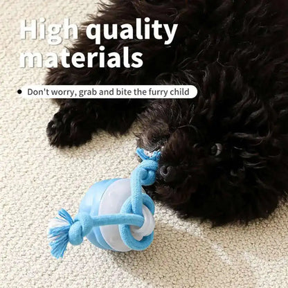 Smart Motion-Activated Dog Toy Ball with Rope - 3 Play Modes, USB Rechargeable