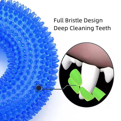 Bristle Ring Dog Toy for Interactive Play